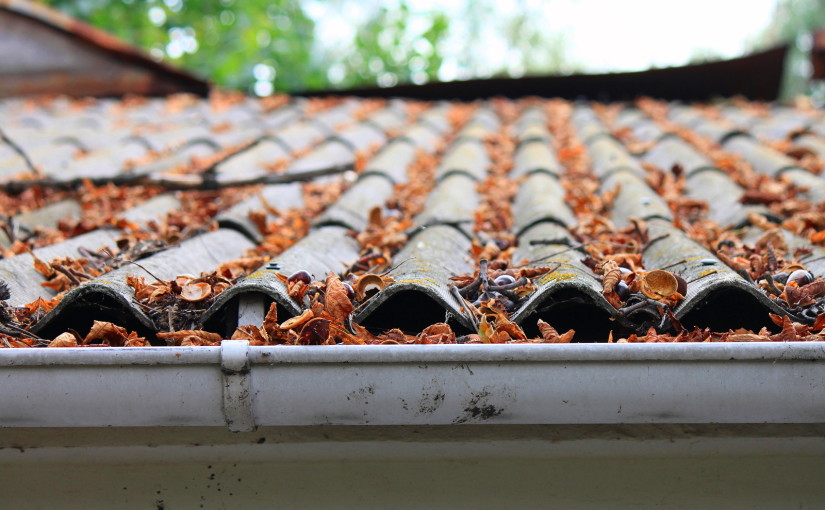 Basic Safety Advice for Roof and Gutter Cleaning
