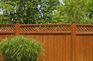 Fence Protection